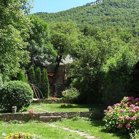 Villa Doly House à Braşov Extérieur photo