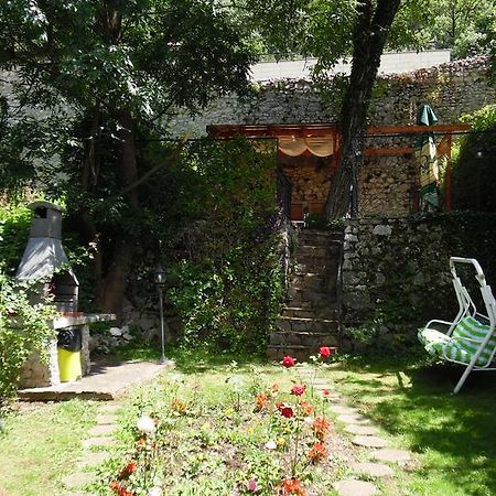 Villa Doly House à Braşov Extérieur photo