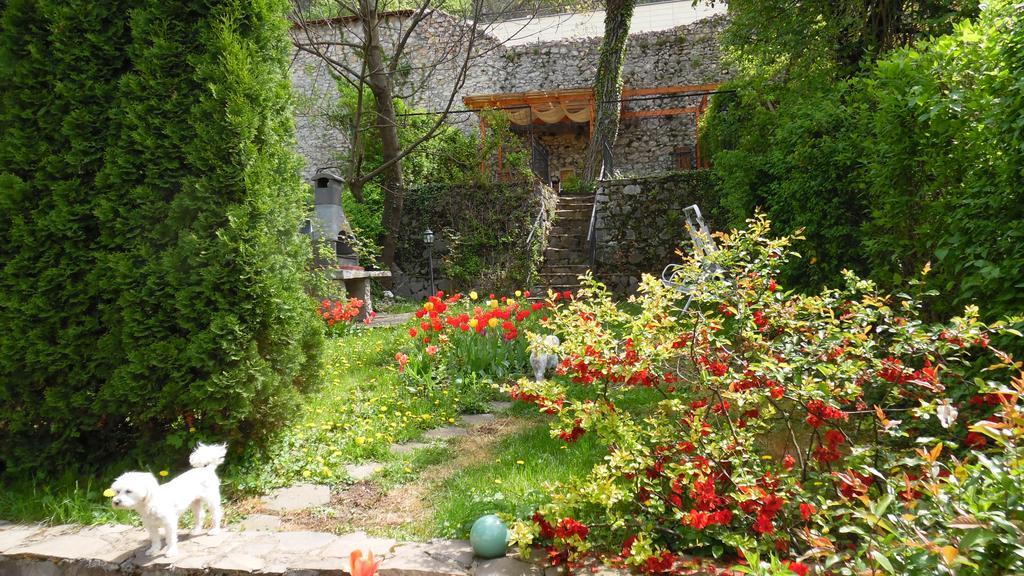 Villa Doly House à Braşov Extérieur photo