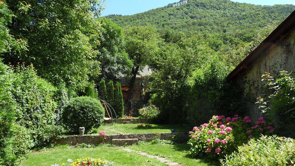 Villa Doly House à Braşov Extérieur photo